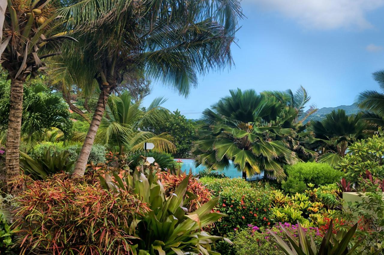 473 Grenada Boutique Resort St. George's Εξωτερικό φωτογραφία